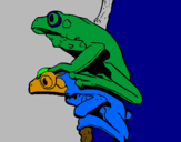Coloring page Frogs painted bynicolas