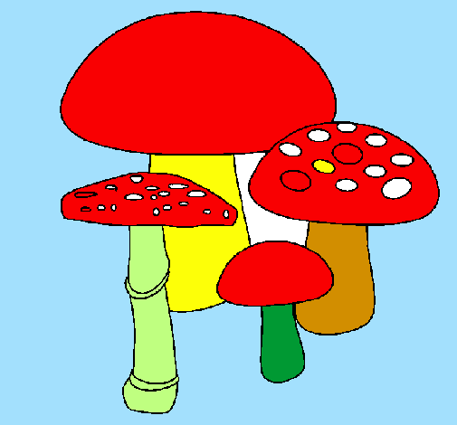 Coloring page Mushrooms painted bynicolas
