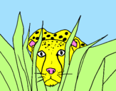 Coloring page Cheetah painted bymaximo