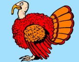 Coloring page Turkey painted bynicoe