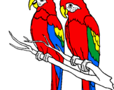 Coloring page Parrots painted byblu