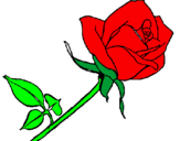 Coloring page Rose painted byeunecis