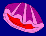 Coloring page Clam painted byjuaquni