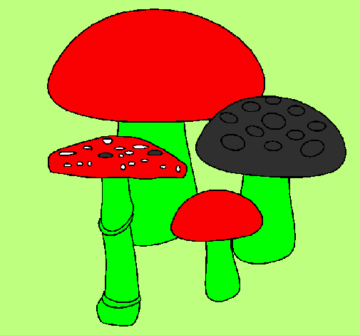 Coloring page Mushrooms painted bylucas