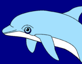 Coloring page Dolphin painted byjuaquni