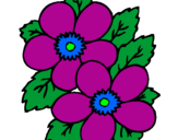 Coloring page Flowers painted bypara  mami   de  karen