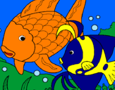 Coloring page Fish painted bymorgan miller