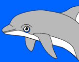 Coloring page Dolphin painted bymorgan miller