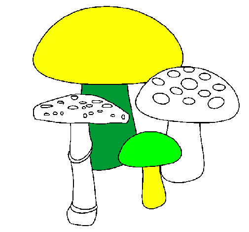 Coloring page Mushrooms painted byisaquejvgn  gg  bb c zgut