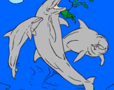 Coloring page Dolphins playing painted bymorgan miller