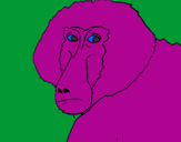 Coloring page Baboon painted byblu