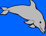 Coloring page Happy dolphin painted bymorgan miller
