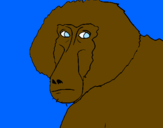 Coloring page Baboon painted bylucas