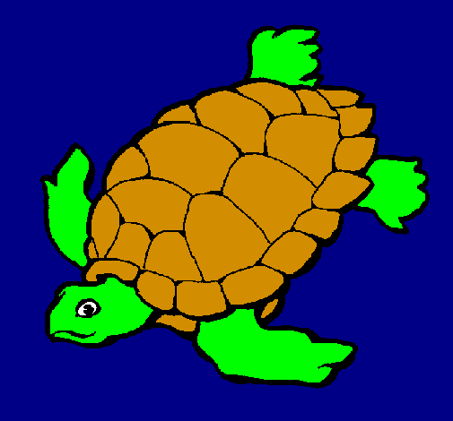 Coloring page Turtle painted byjavi-alonso