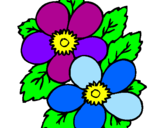 Coloring page Flowers painted bychloe 2