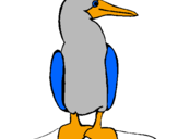 Coloring page Duck painted byLukas