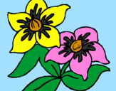Coloring page Flowers painted byPersikla