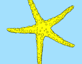 Coloring page Little starfish painted bymathusha