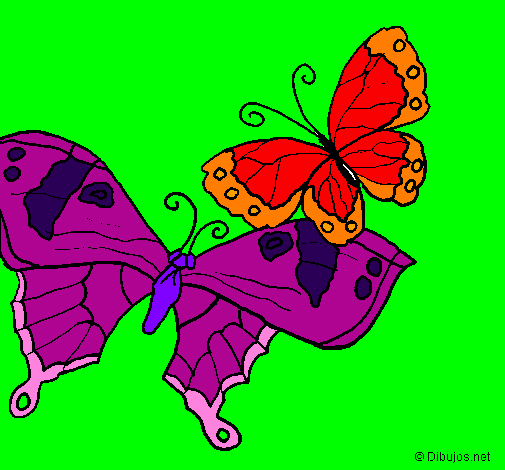 Coloring page Butterflies painted byleticr2