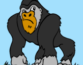 Coloring page Gorilla painted byjavi-alonso