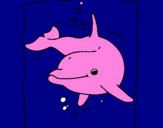 Coloring page Dolphin painted bykau%uFFFD
