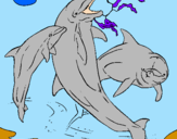 Coloring page Dolphins playing painted byflipper