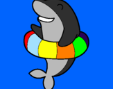 Coloring page Dolphin painted bycaue