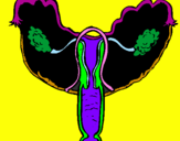 Coloring page Vagina painted byFFFDoso