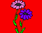 Coloring page Daisies painted byVoila