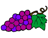 Coloring page bunch painted bygrapes