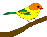 Coloring page Little bird painted bysarah