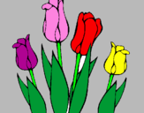 Coloring page Tulips painted bycaue