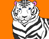 Coloring page Tiger painted bynrw