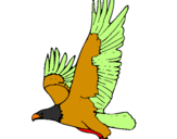 Coloring page Eagle flying painted byAdriano