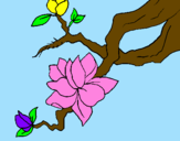 Coloring page Almond flower painted byisabela