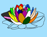 Coloring page Nymphaea painted byanonymous