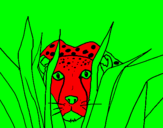 Coloring page Cheetah painted bygaby