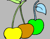 Coloring page cherries painted byyoshi