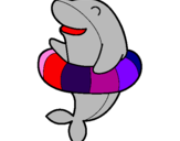 Coloring page Dolphin painted byjazmin jasso