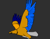 Coloring page Eagle flying painted bybirdy