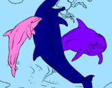 Coloring page Dolphins playing painted bybruna