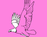 Coloring page Eagle flying painted bytweety