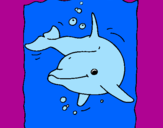 Coloring page Dolphin painted bySavannah Alla St.Louis
