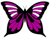 Coloring page Butterfly painted byDAYANNA