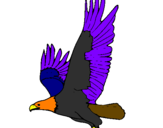 Coloring page Eagle flying painted bykizzy