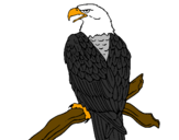 Coloring page Eagle on branch painted bymathus m