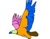 Coloring page Eagle flying painted byemilee