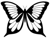 Coloring page Butterfly painted byh