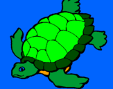 Coloring page Turtle painted bySavannah Alla St.Louis