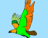 Coloring page Eagle flying painted byjun